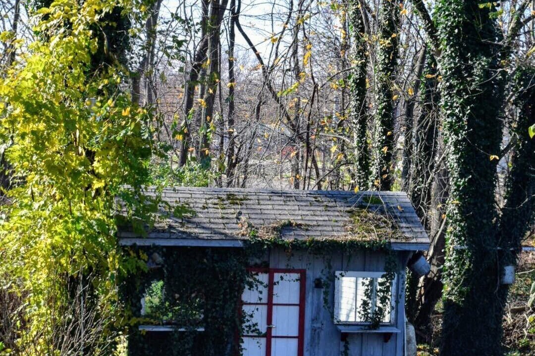 Photo of Outdoor in Westfield