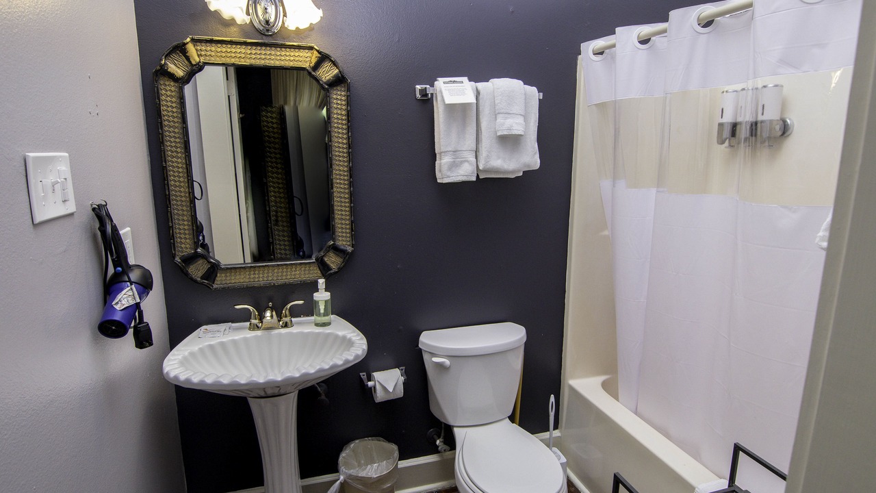 Photo of Bathroom in Treme