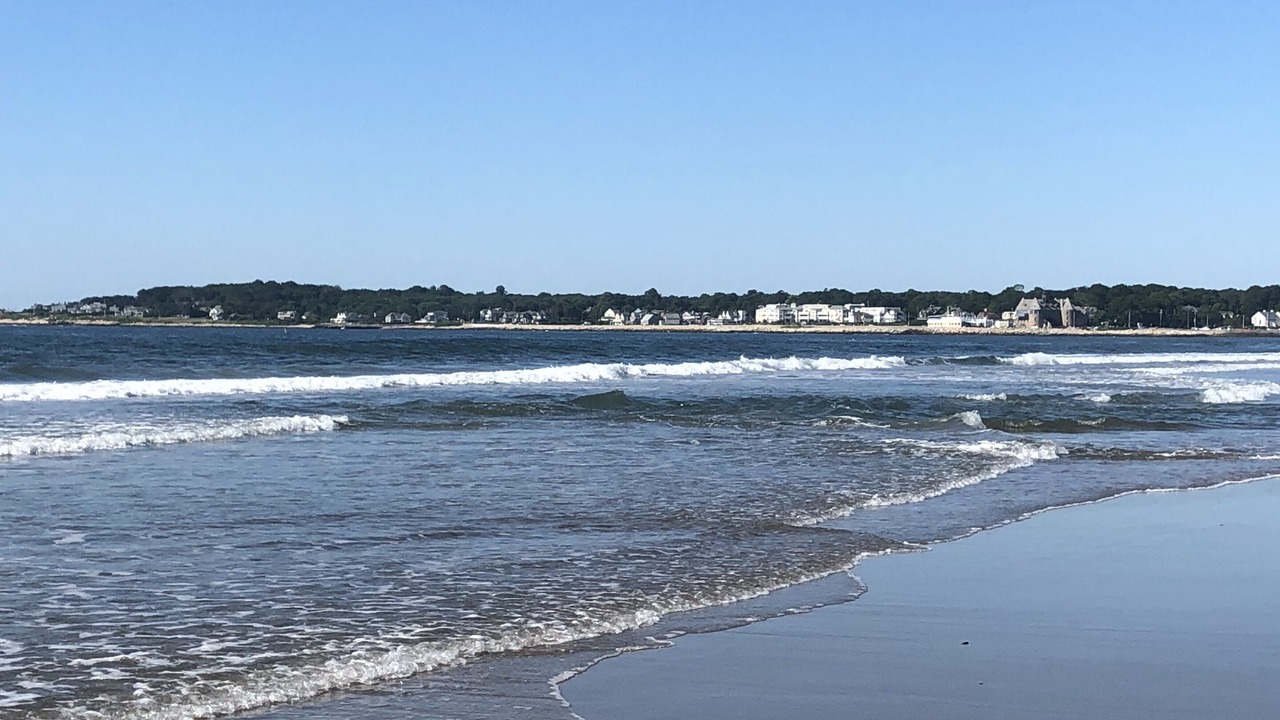 Photo of Others in Bonnet Shores