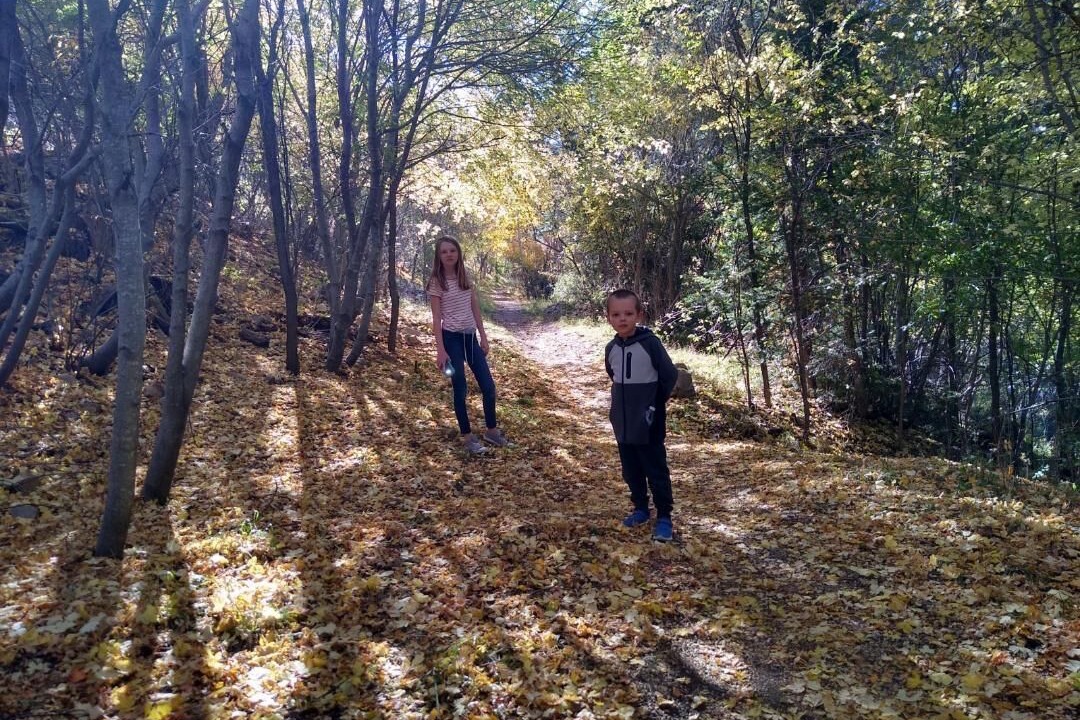 Photo of Others in Cloudcroft