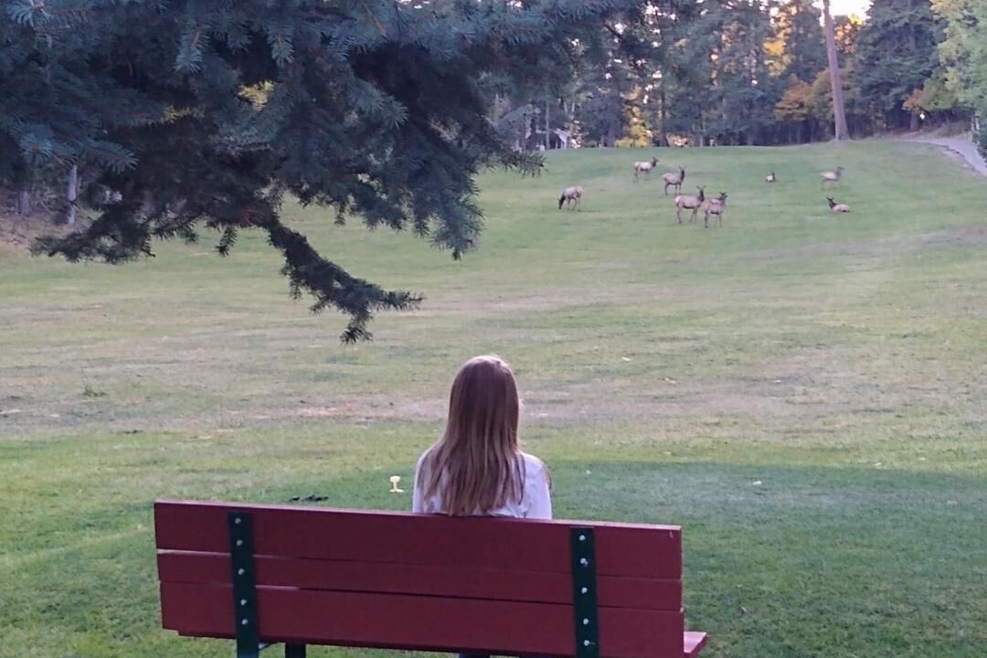 Photo of Others in Cloudcroft