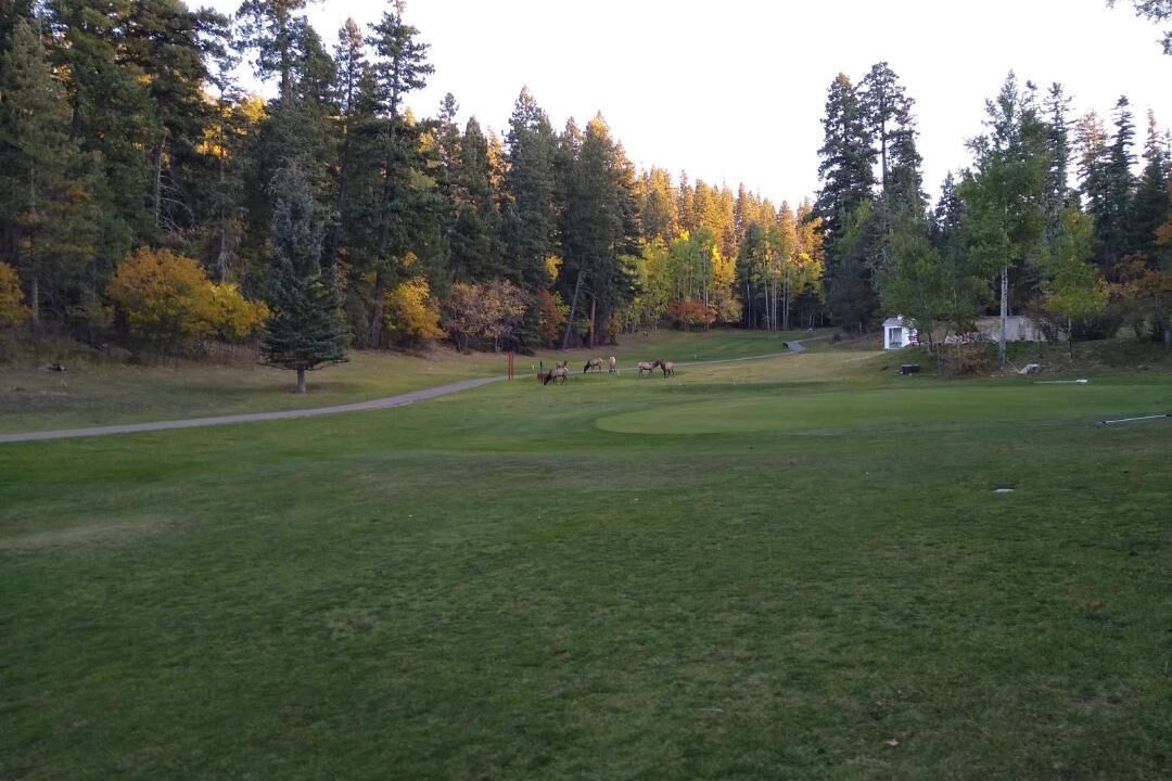 Photo of Others in Cloudcroft