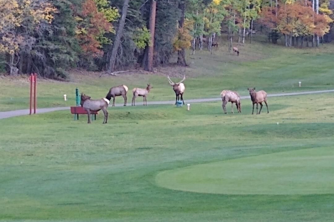 Photo of Others in Cloudcroft