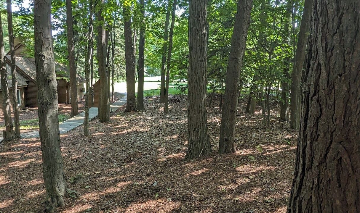 Photo of Outdoor in Maple City