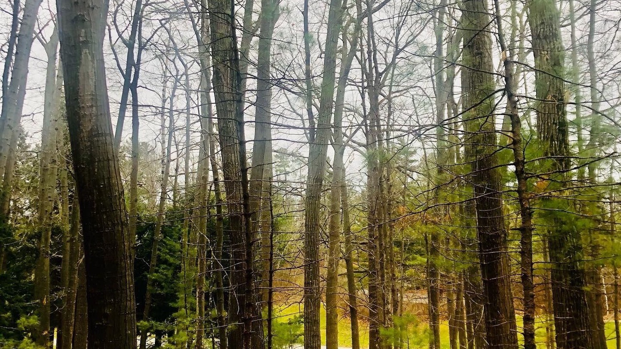 Photo of Outdoor in Maple City