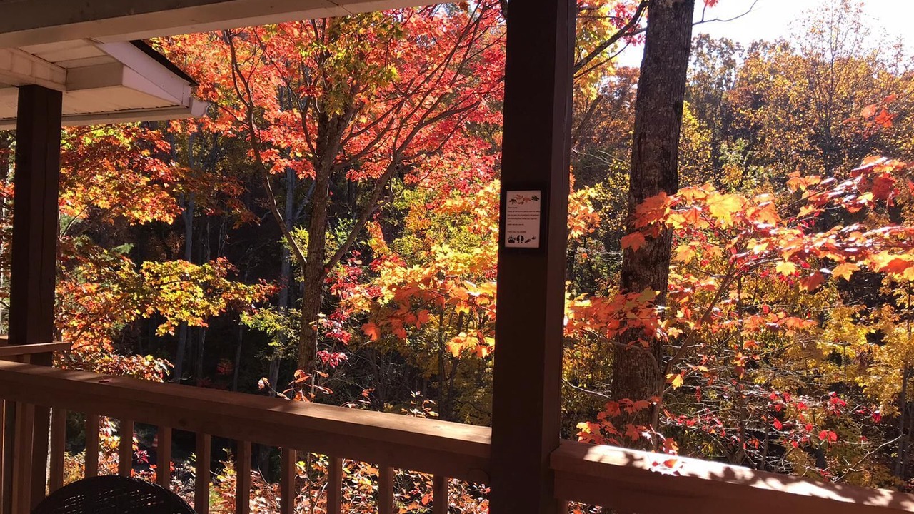 Photo of Outdoor in Gatlinburg - Pigeon Forge