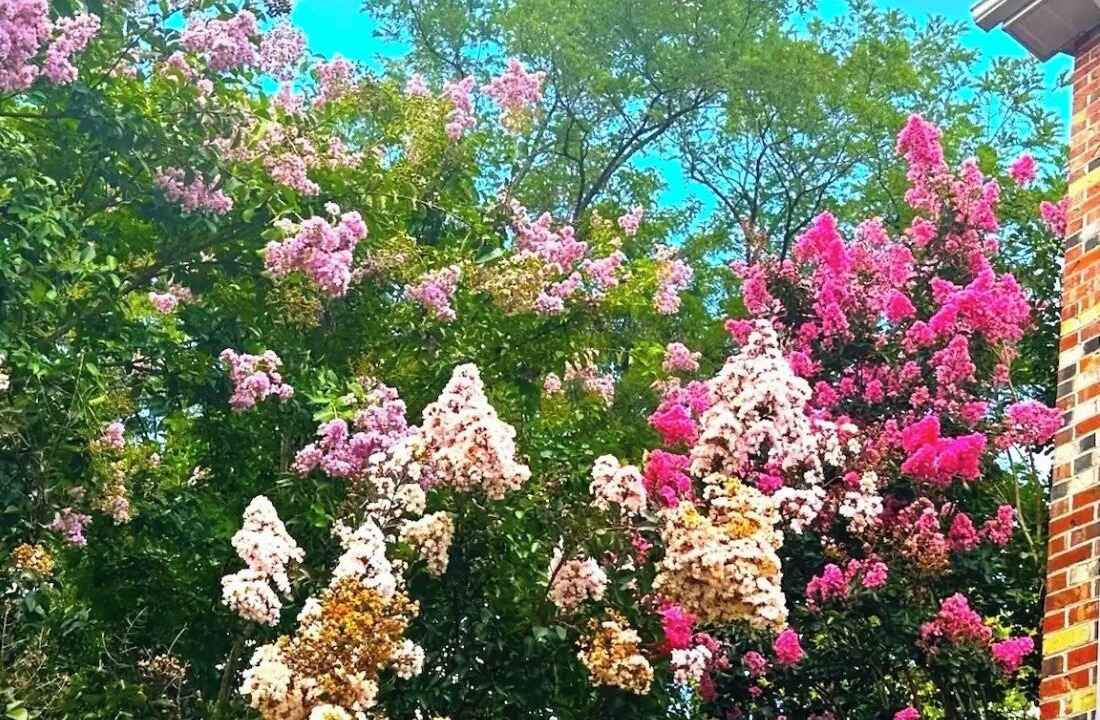 Photo of Outdoor in Bolivar