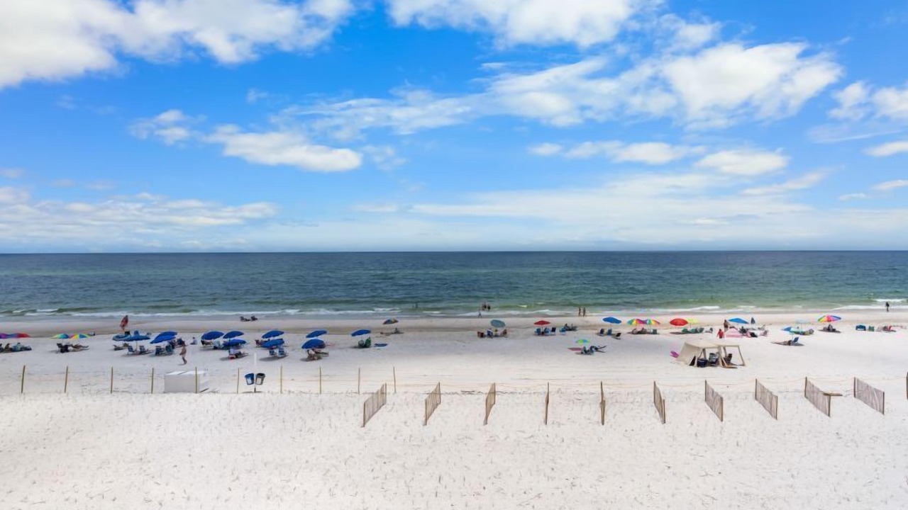 Photo of Others in Gulf Shores