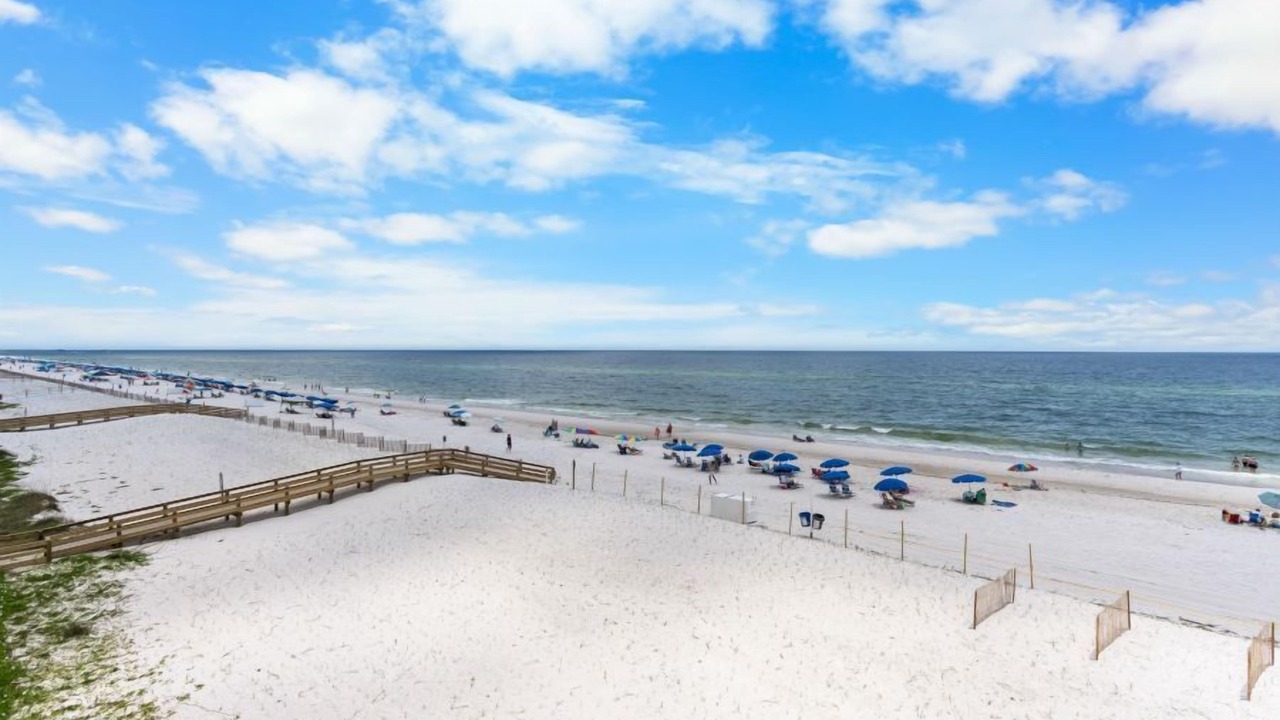 Photo of Others in Gulf Shores