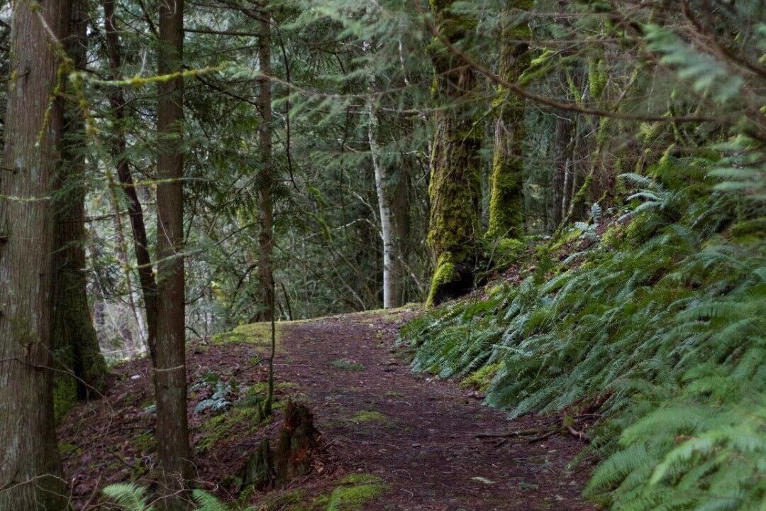 Photo of Outdoor in Maple Falls