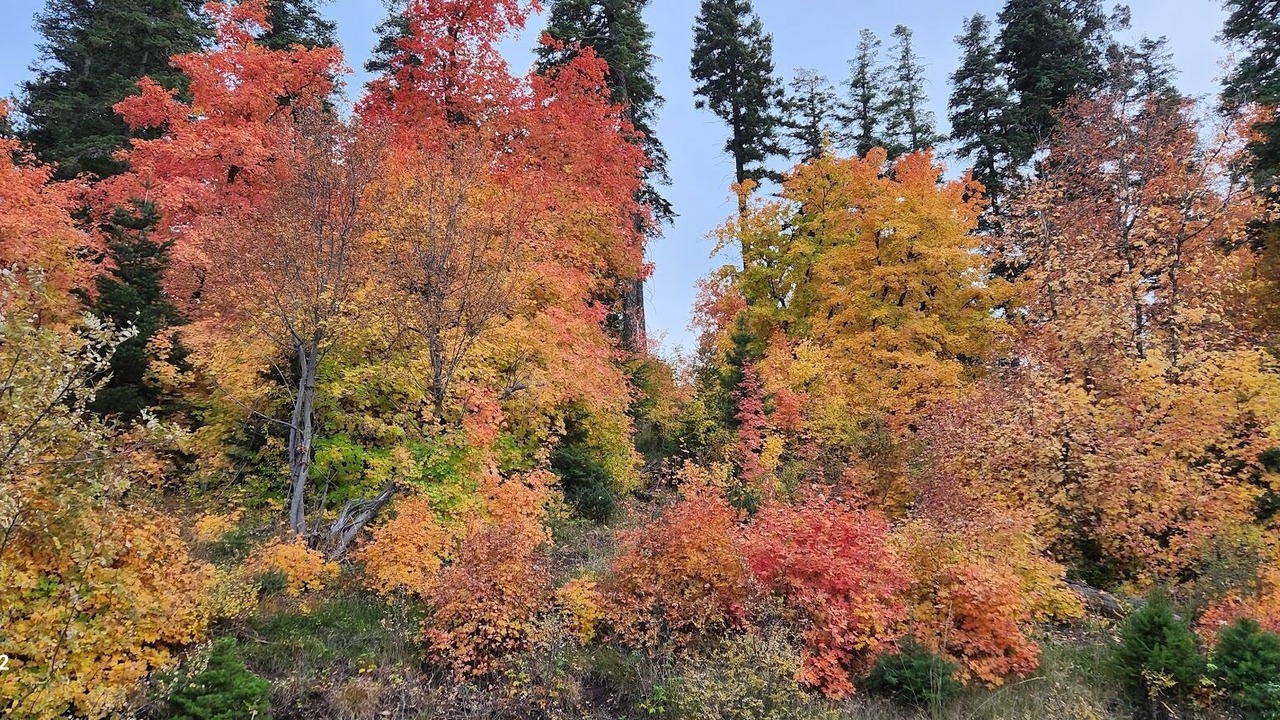 Photo of Others in Cloudcroft