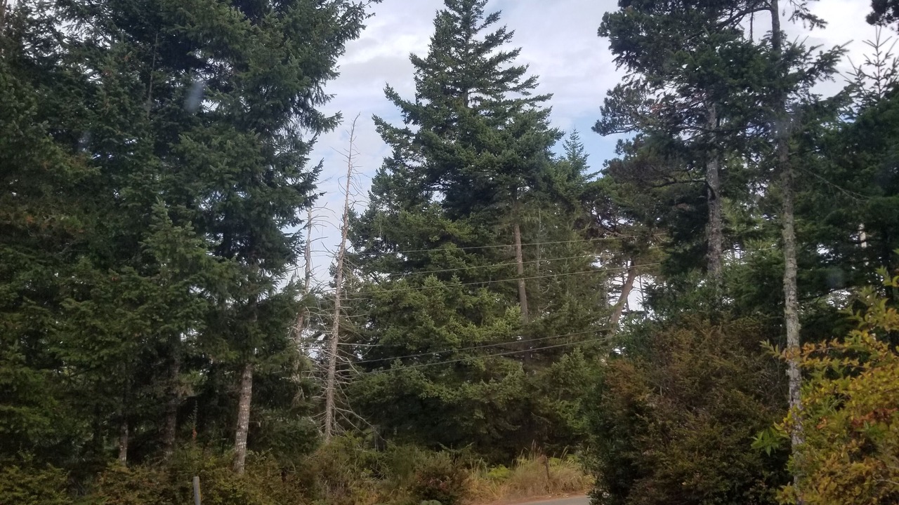 Photo of Others in Saunders Lake