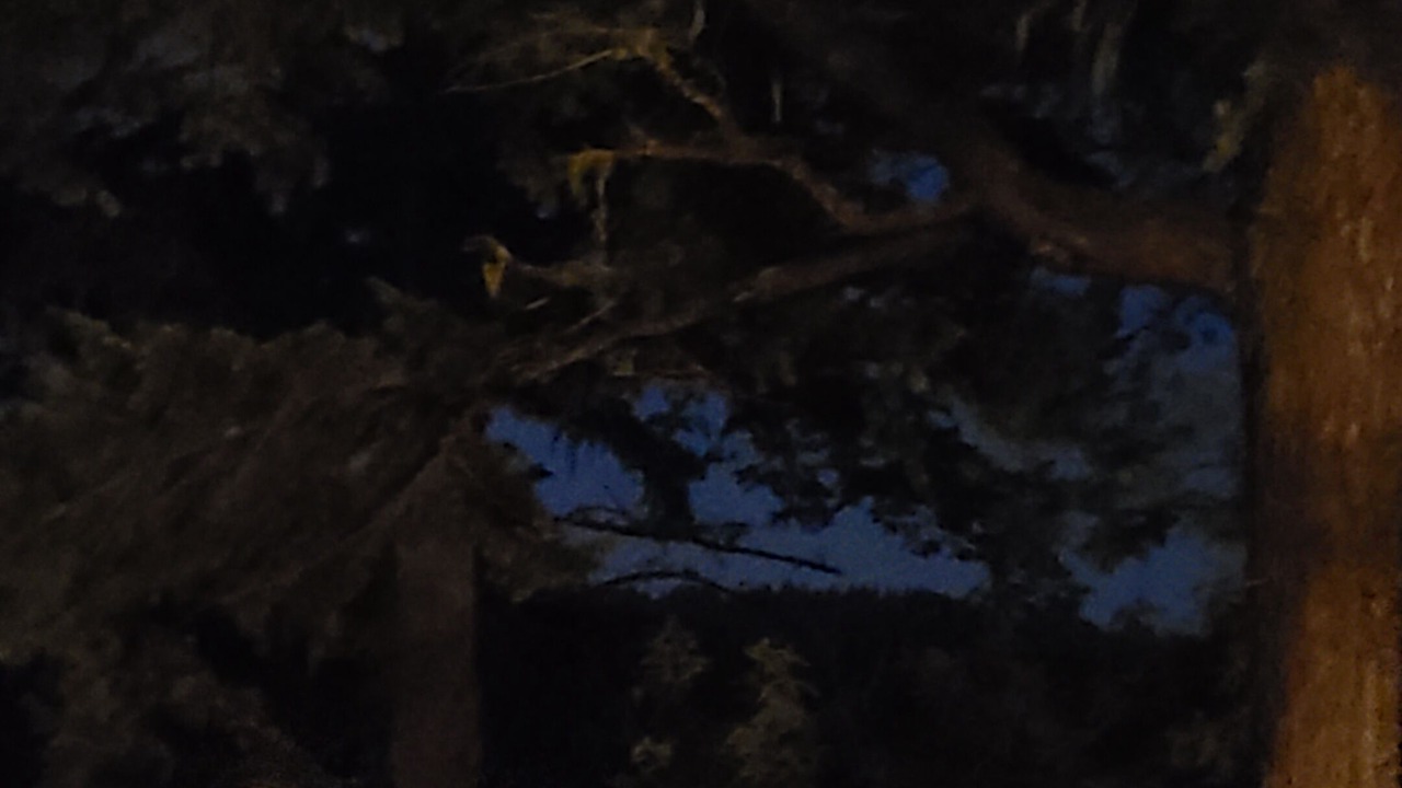 Photo of Others in Saunders Lake