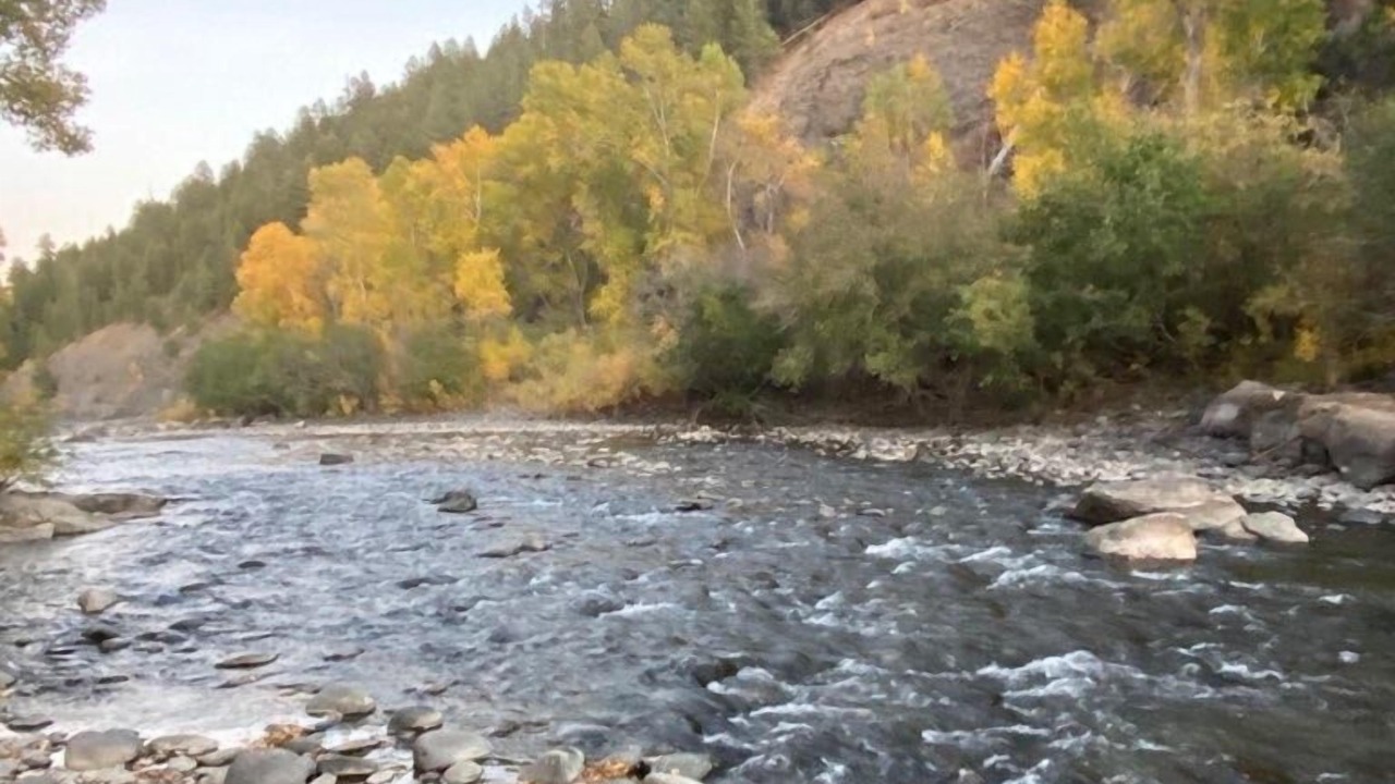 Photo of Others in Pagosa Springs