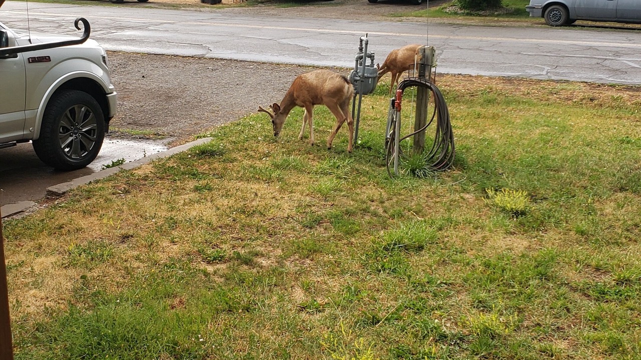 Photo of Outdoor in Pagosa Springs