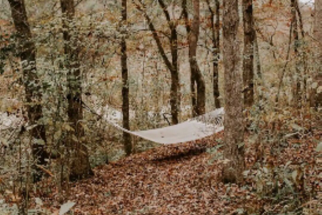 Photo of Outdoor in Teresita