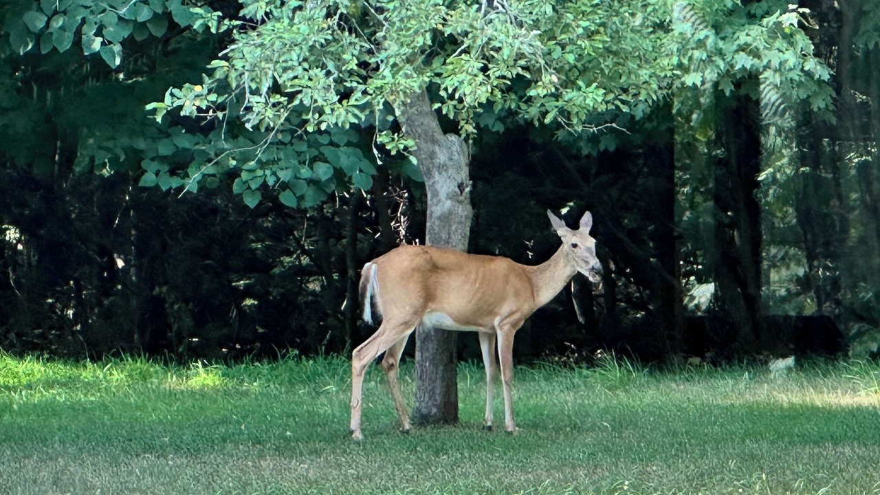 Photo of Others in Covert