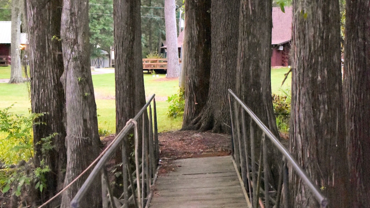 Photo of Outdoor in Uncertain