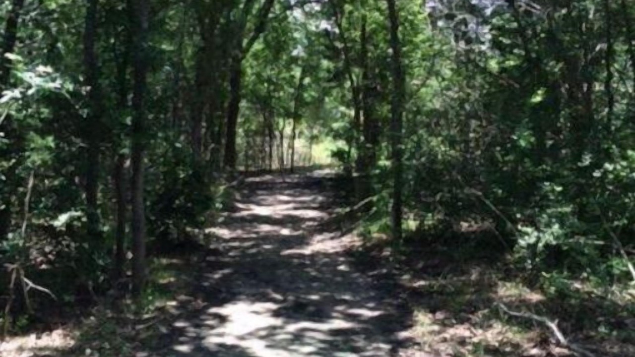 Photo of Outdoor in Camp Swift