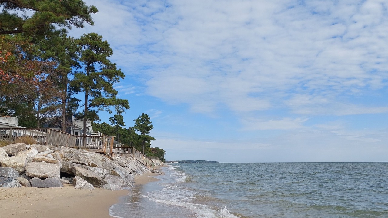 Photo of Others in Point Lookout