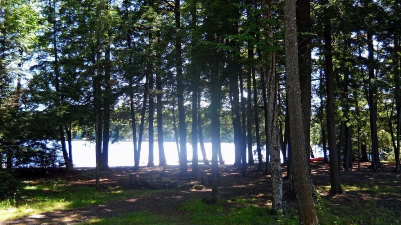 Photo of Outdoor in Three Lakes