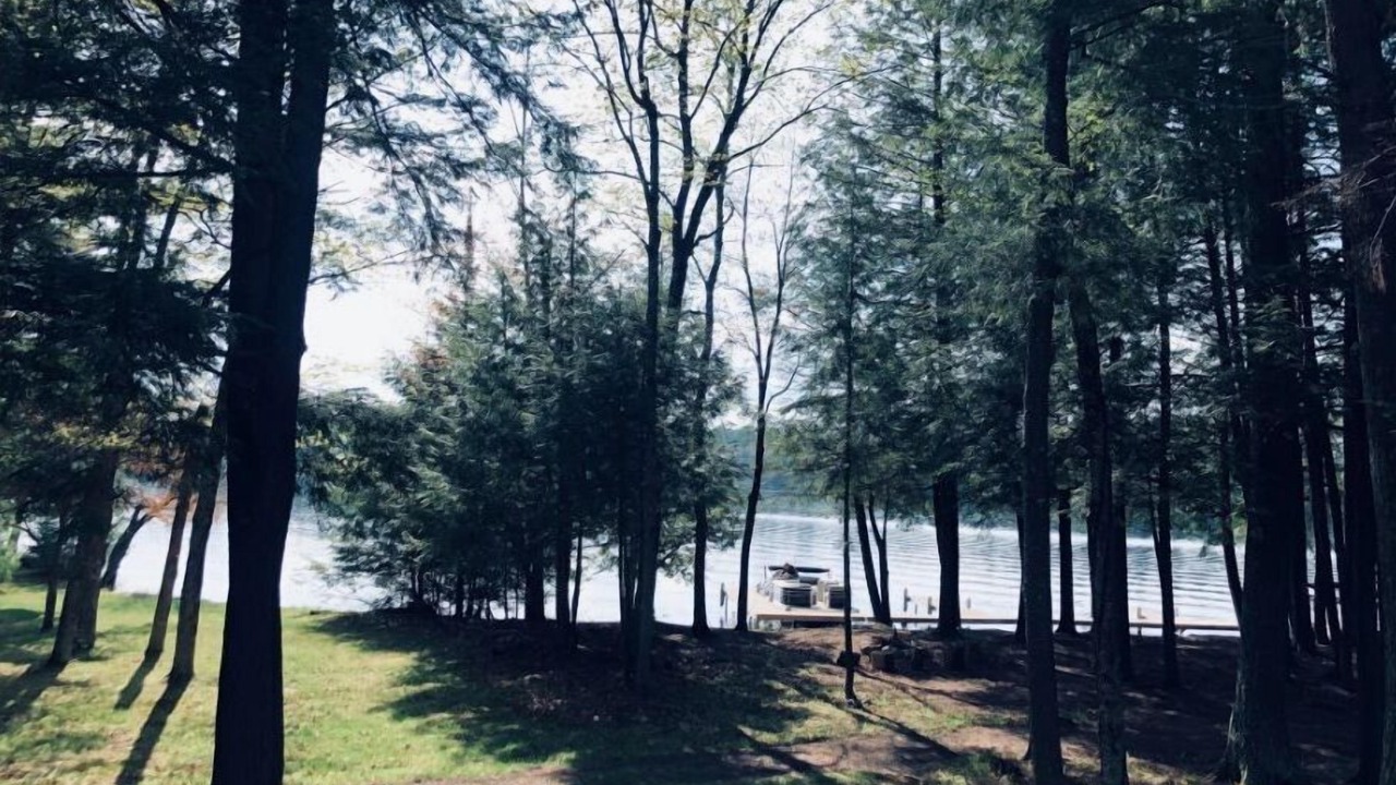 Photo of Outdoor in Three Lakes