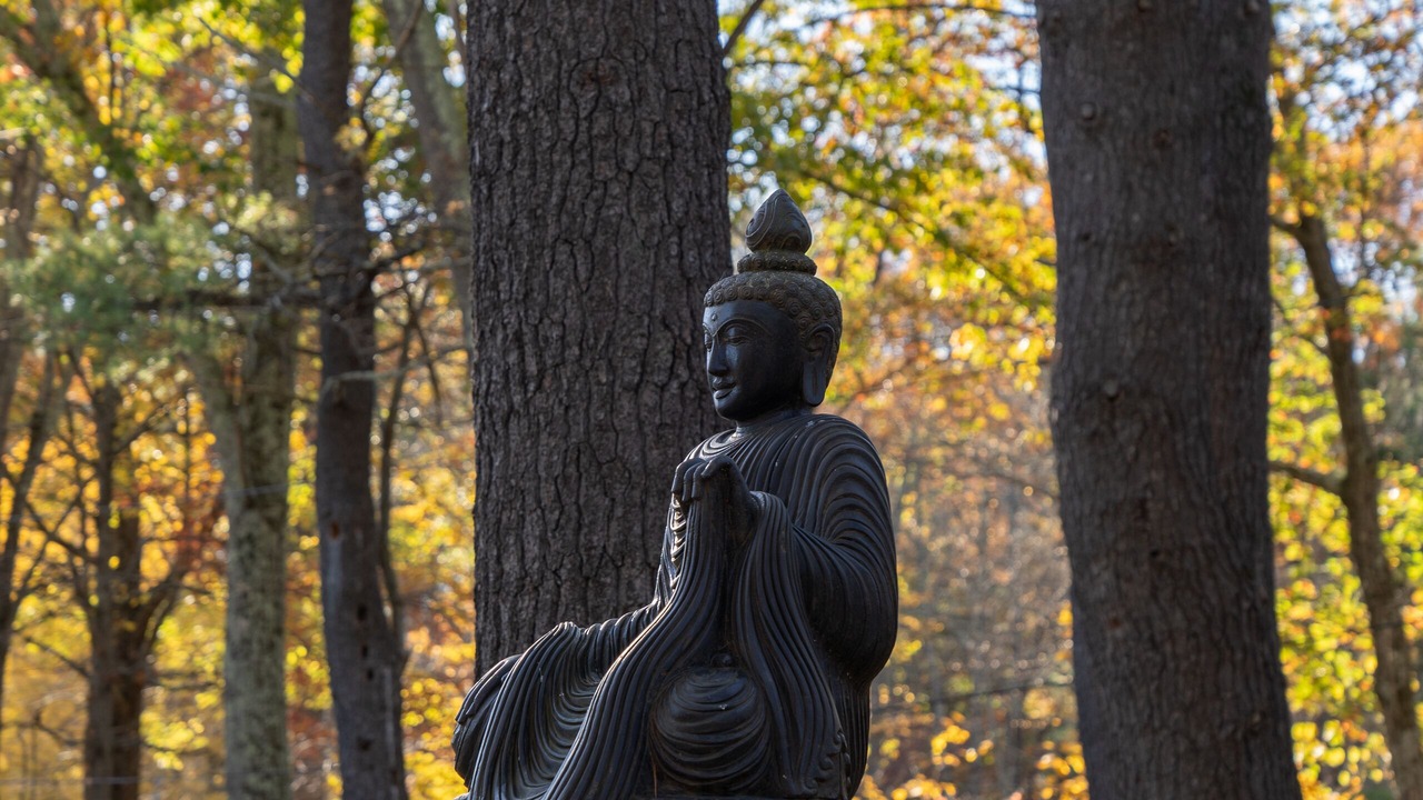 Photo of Outdoor in Oak Hill