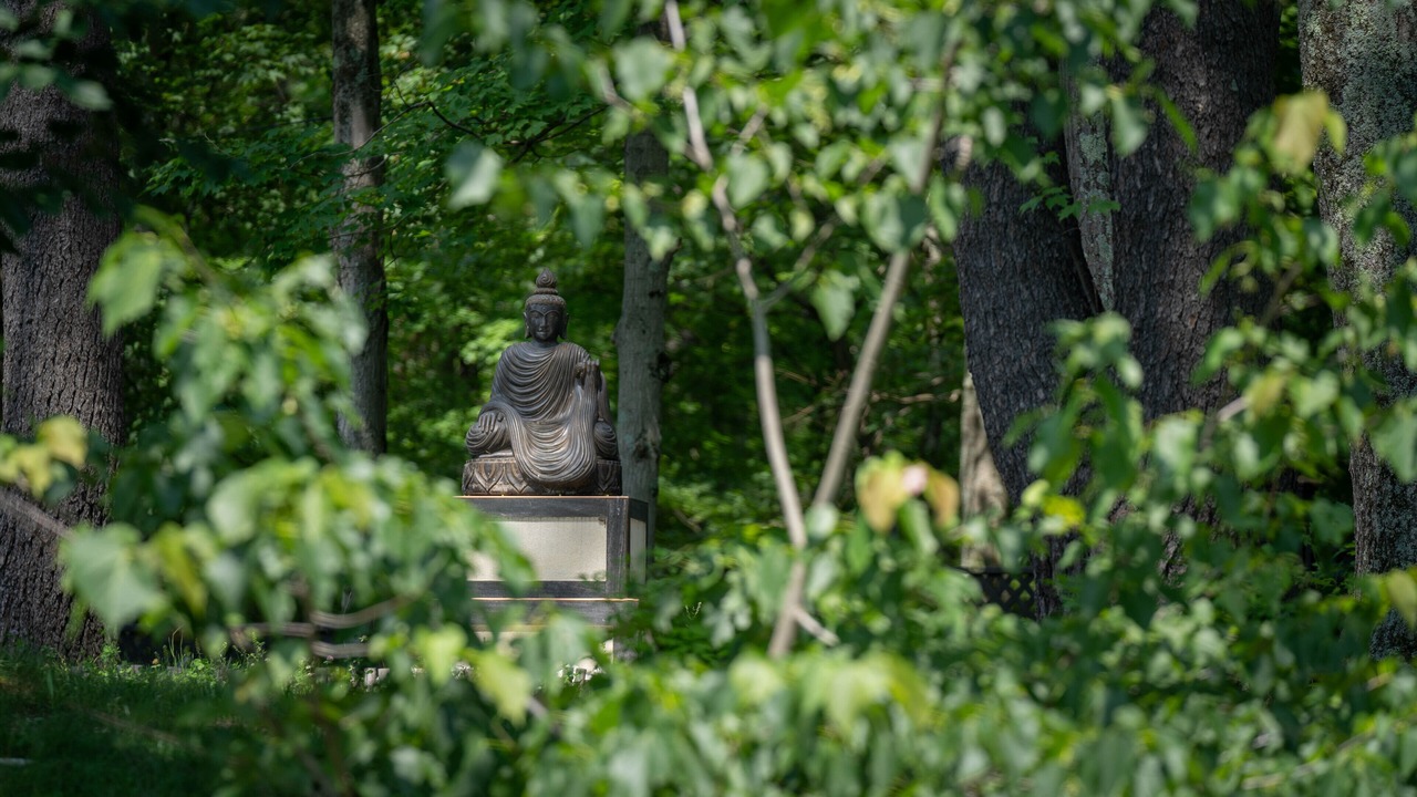 Photo of Others in Oak Hill