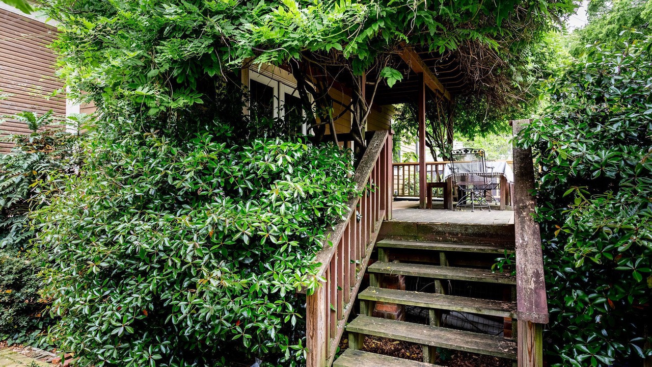 Photo of Outdoor in Belmont - Hillsboro