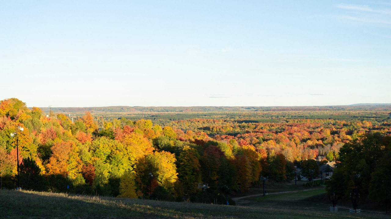 Photo of Others in Thompsonville