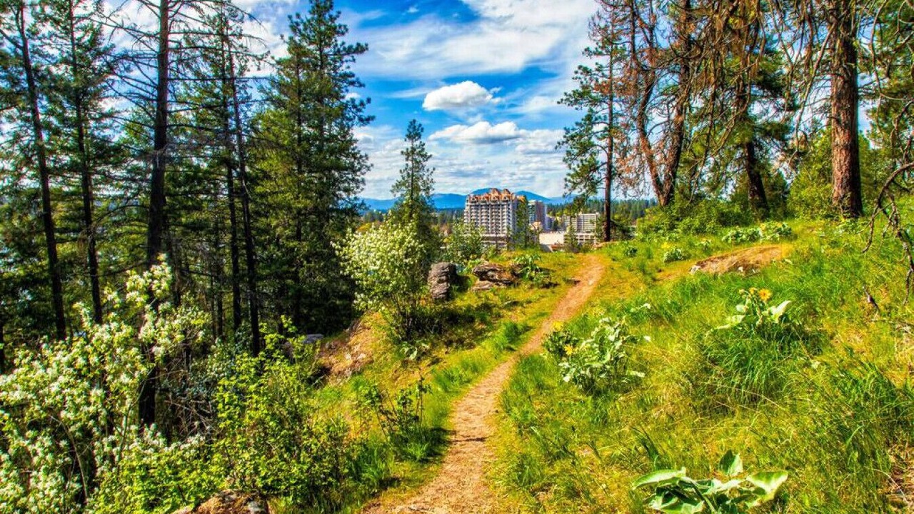 Photo of Outdoor in Coeur d'Alene