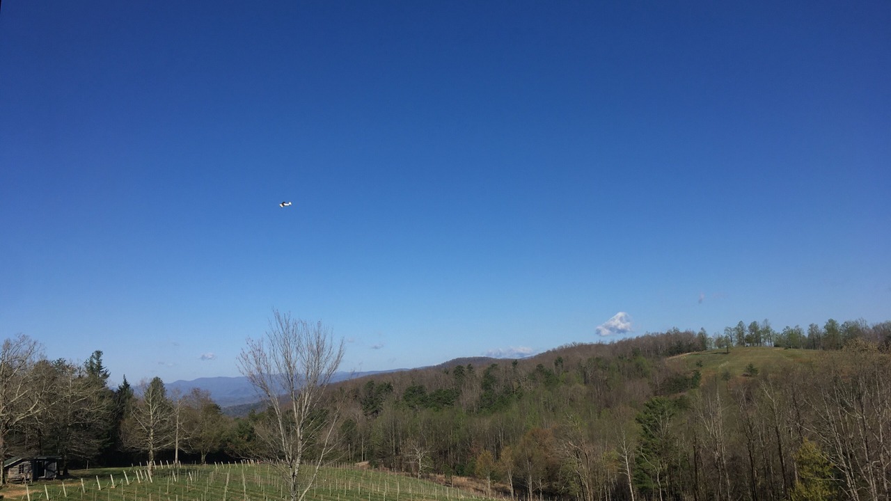 Photo of Outdoor in Clarkesville