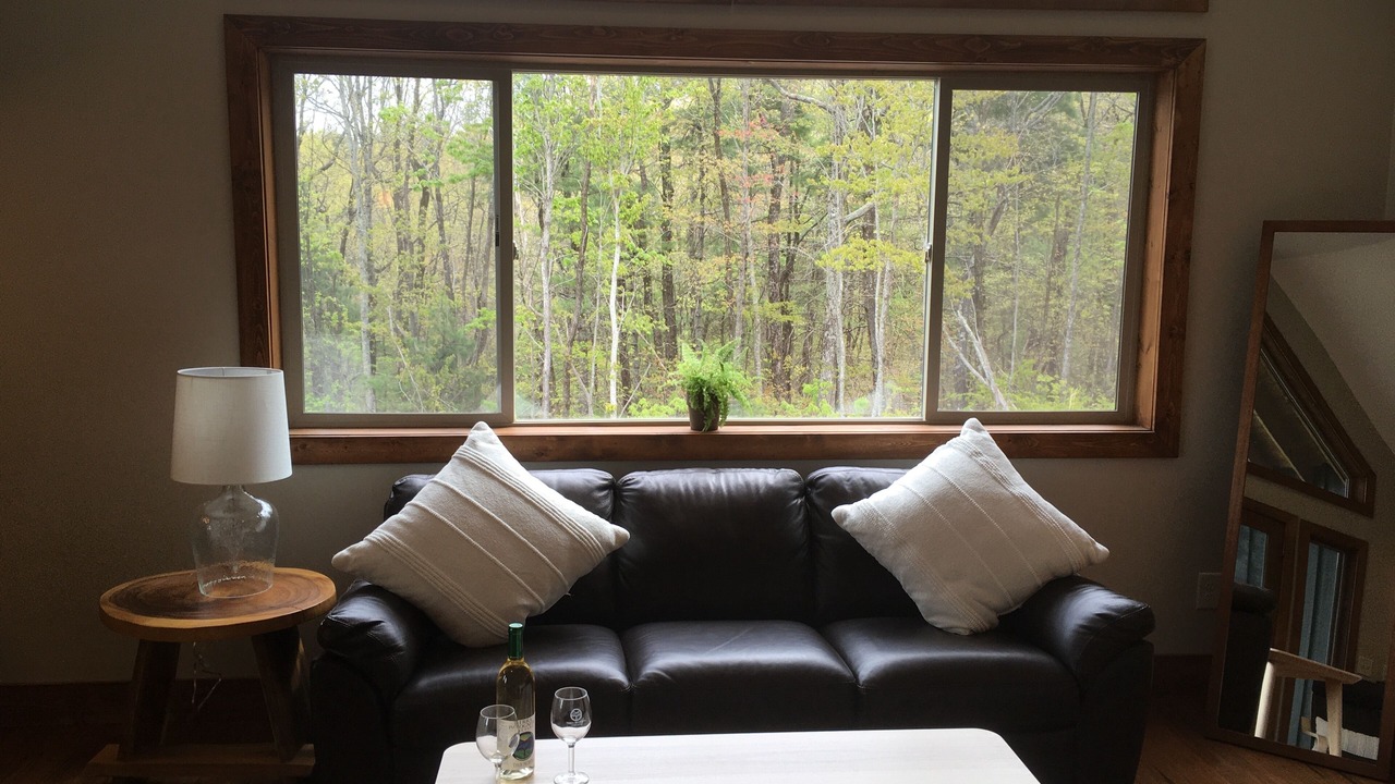 Photo of Livingroom in Clarkesville