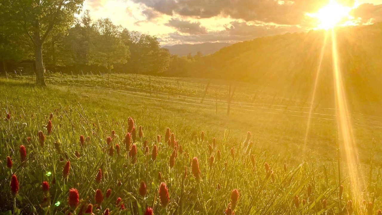 Photo of Outdoor in Clarkesville