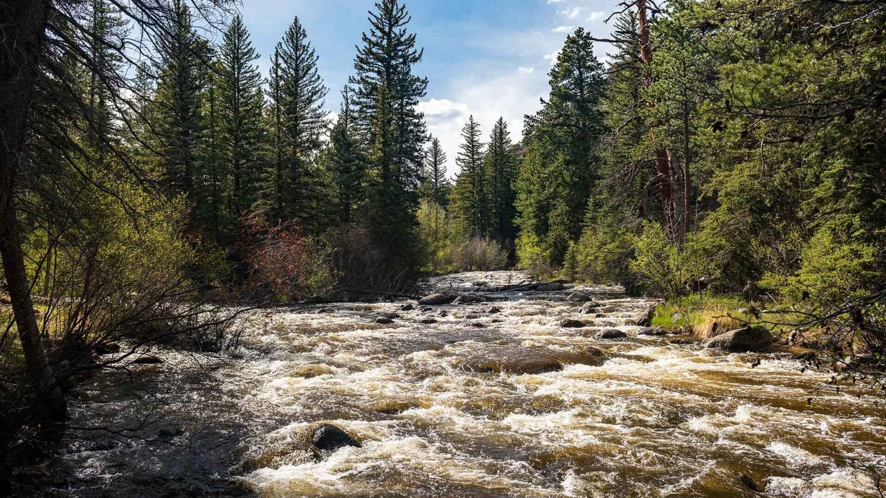 Photo of Others in Aspen Brook