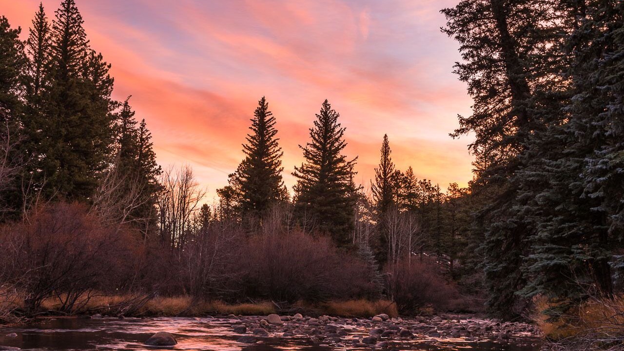 Photo of Others in Aspen Brook