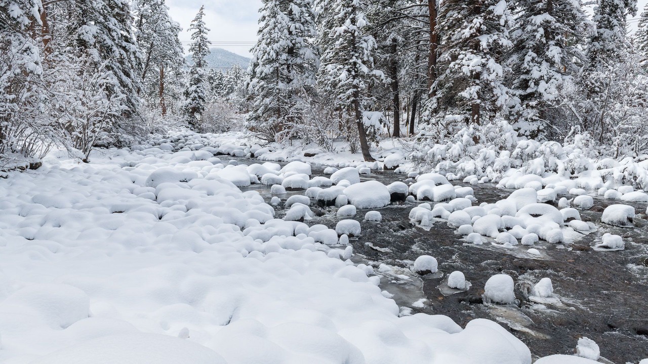 Photo of Others in Aspen Brook