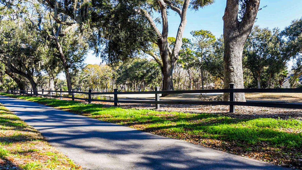 Photo of Outdoor in Folly Field