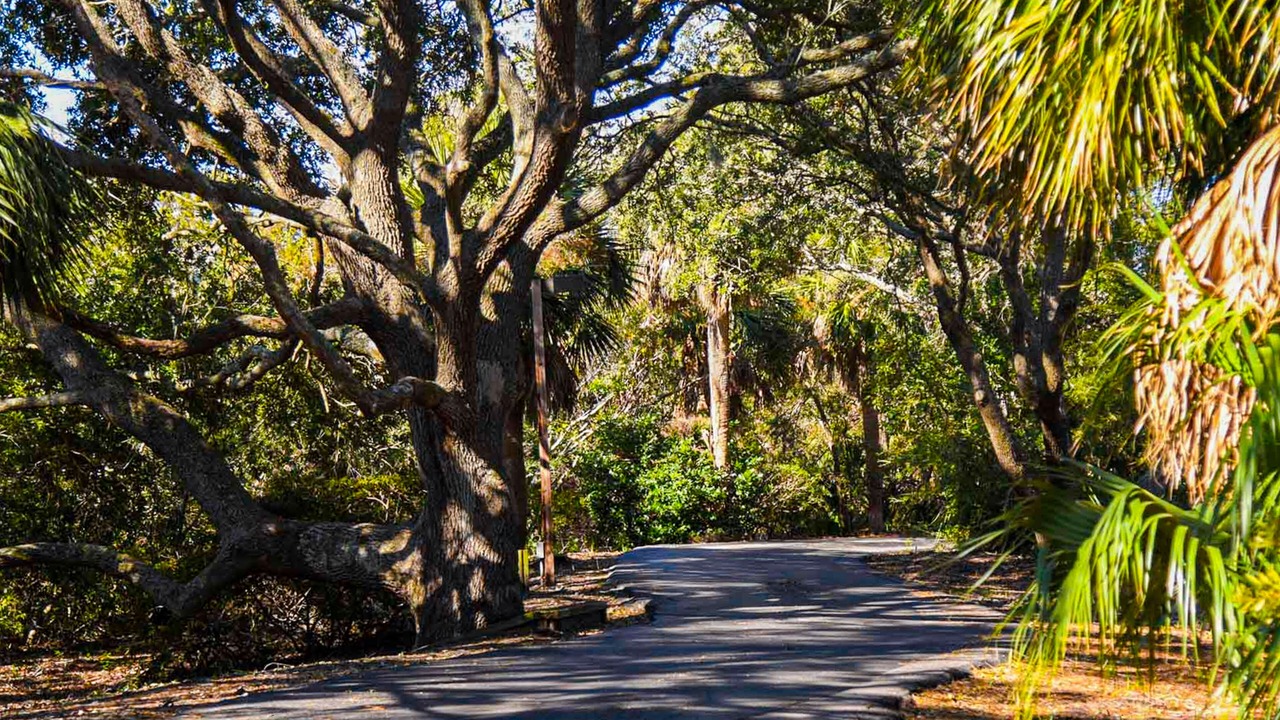 Photo of Outdoor in Folly Field