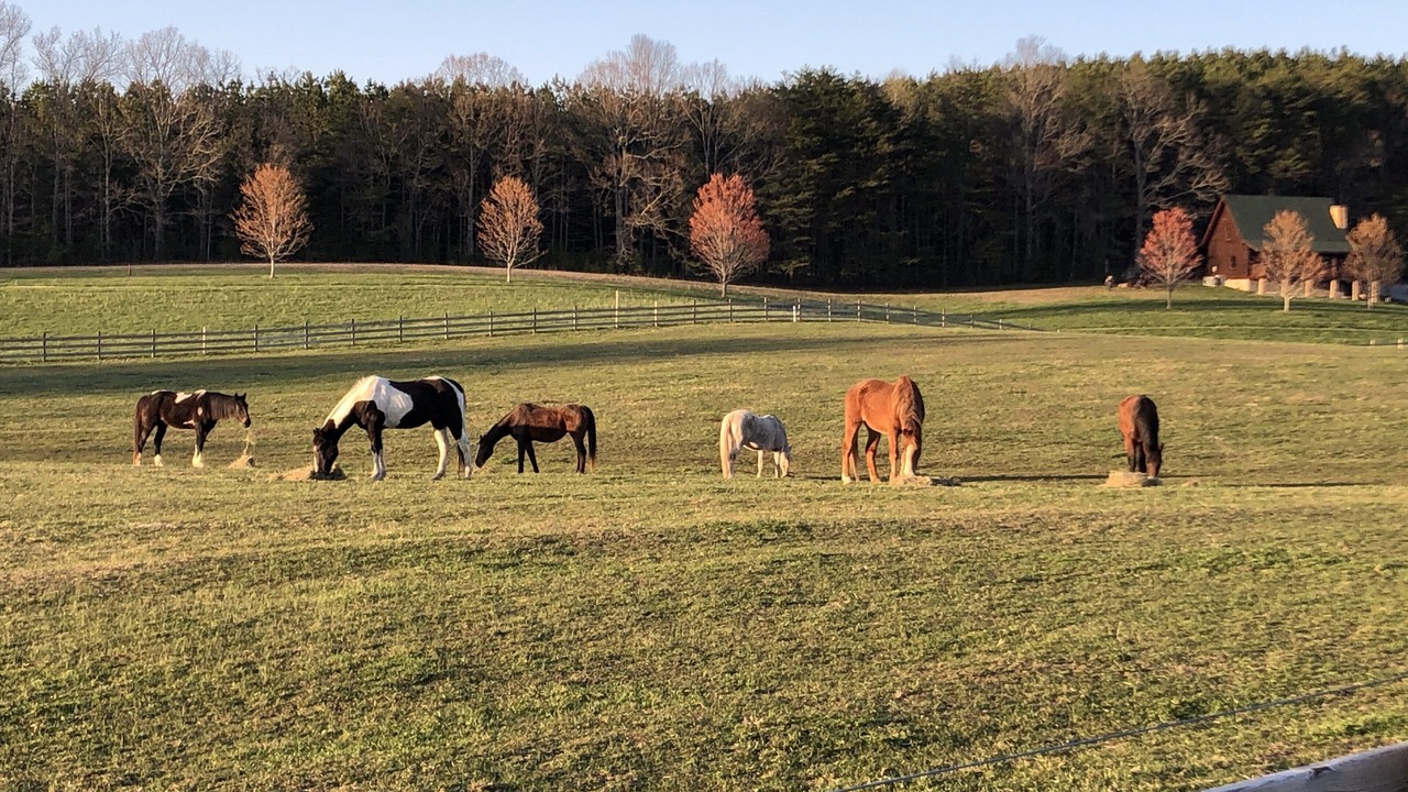 Photo of Others in Spencer