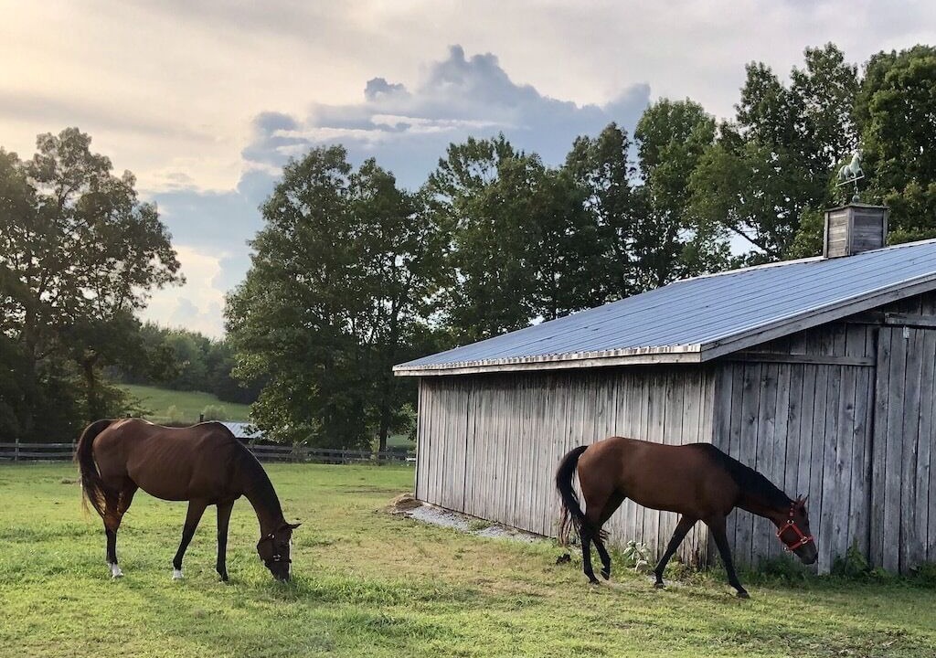 Photo of Others in Spencer