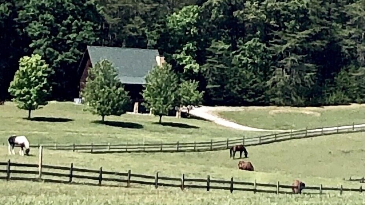 Photo of Others in Spencer