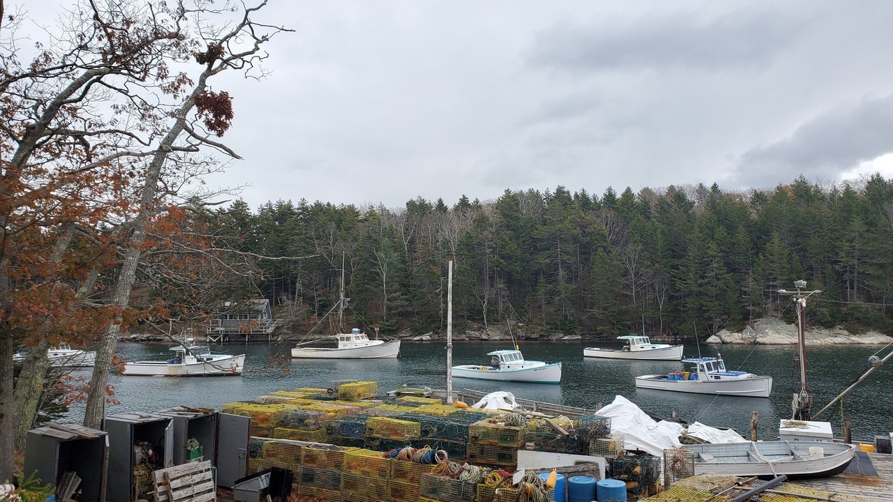 Photo of Others in Rockland