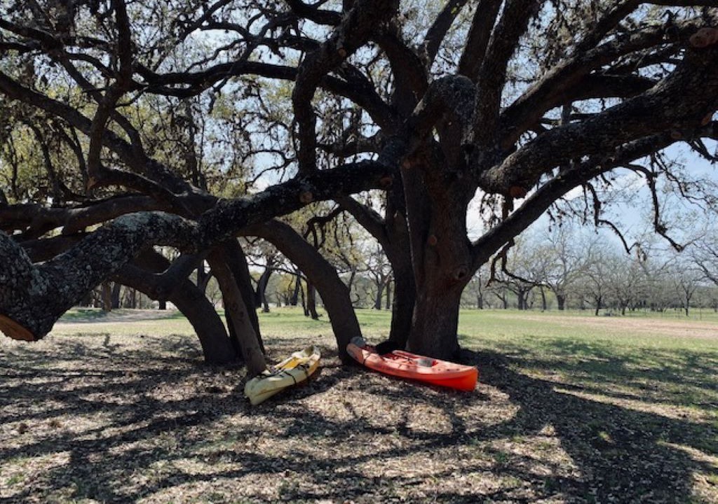 Photo of Outdoor in Camp Wood