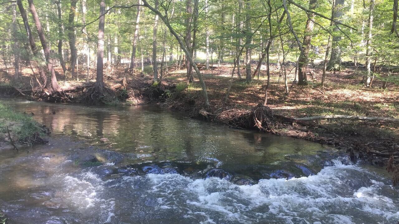 Photo of Others in Berkeley Springs