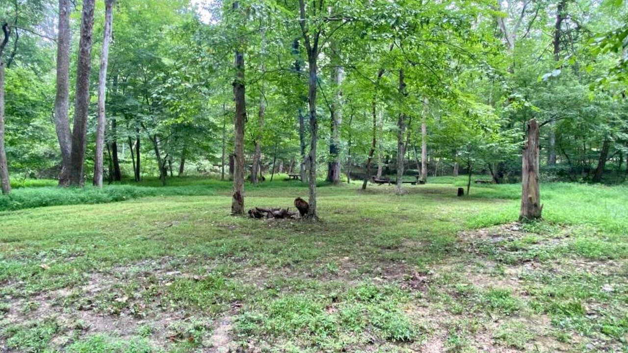 Photo of Others in Berkeley Springs