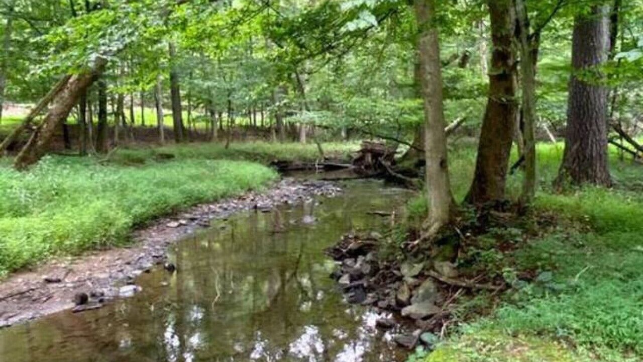 Photo of Others in Berkeley Springs