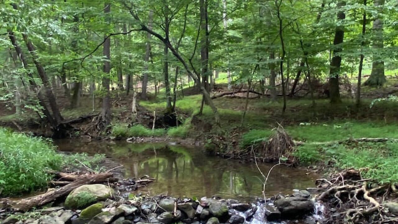 Photo of Others in Berkeley Springs