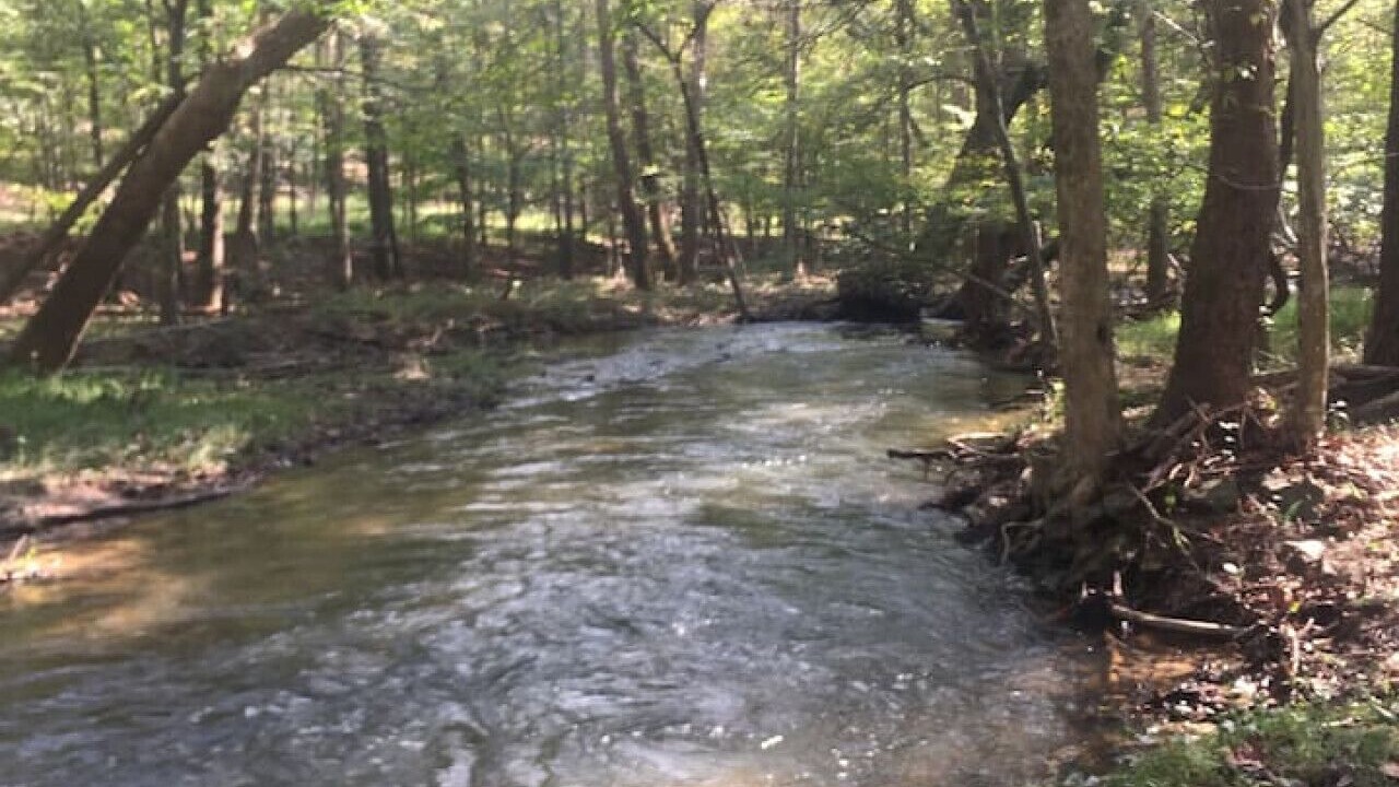 Photo of Others in Berkeley Springs