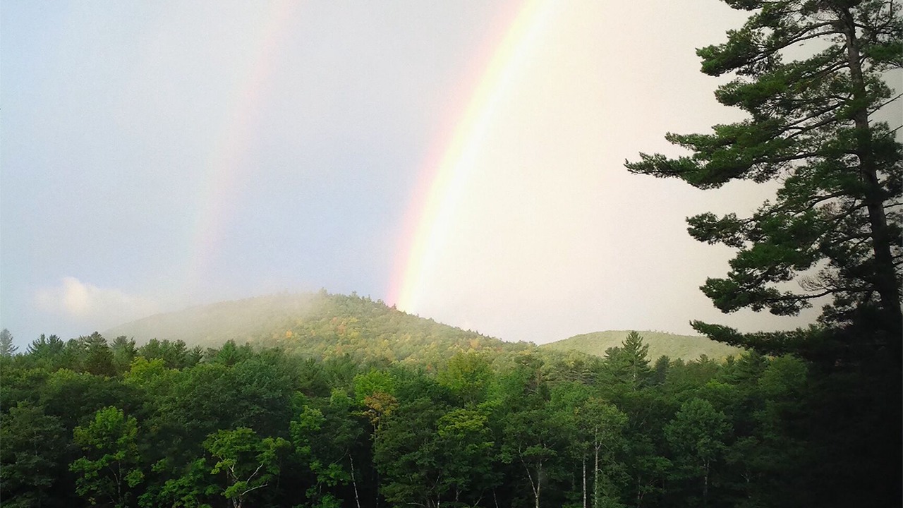 Photo of Others in The Glen